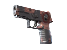 P250 | Constructivist (Factory New)